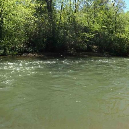 אלייז'ה Cabin Fever On Cartecay River מראה חיצוני תמונה