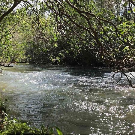 אלייז'ה Cabin Fever On Cartecay River מראה חיצוני תמונה