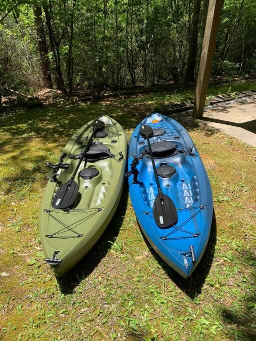 אלייז'ה Cabin Fever On Cartecay River מראה חיצוני תמונה