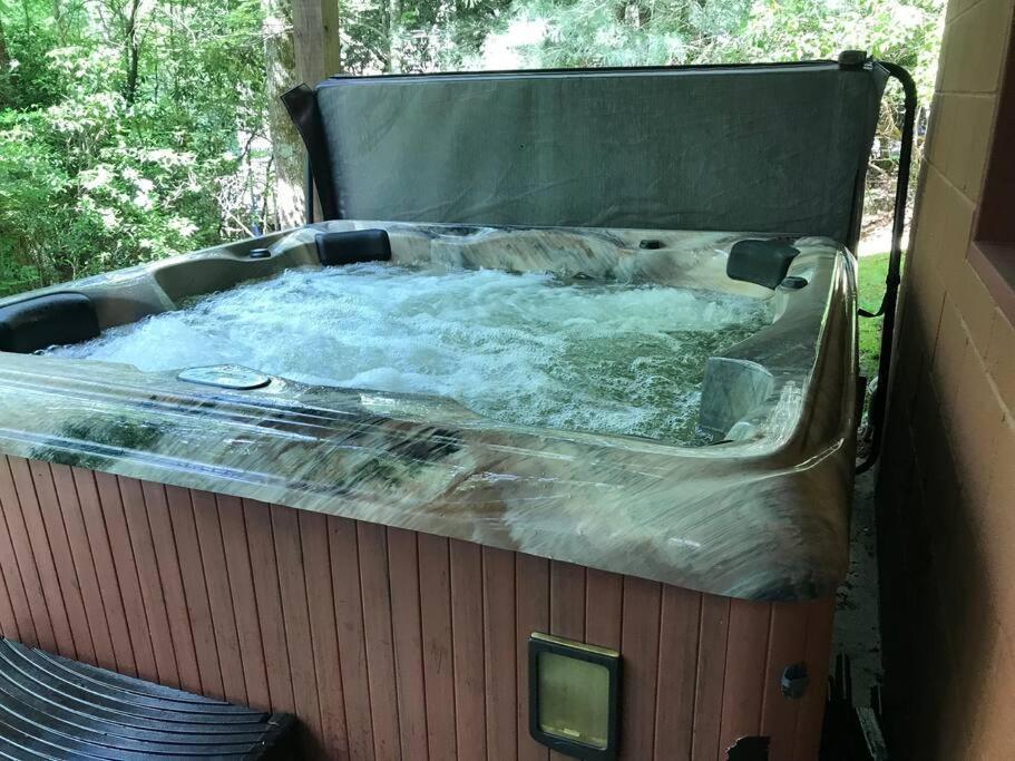 אלייז'ה Cabin Fever On Cartecay River מראה חיצוני תמונה