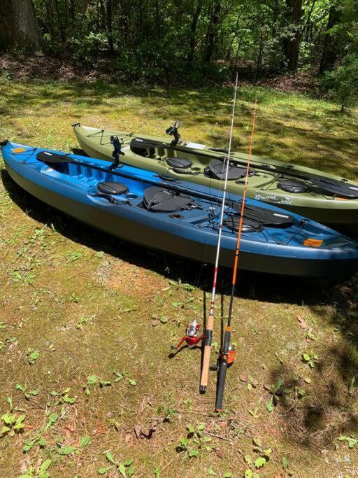 אלייז'ה Cabin Fever On Cartecay River מראה חיצוני תמונה