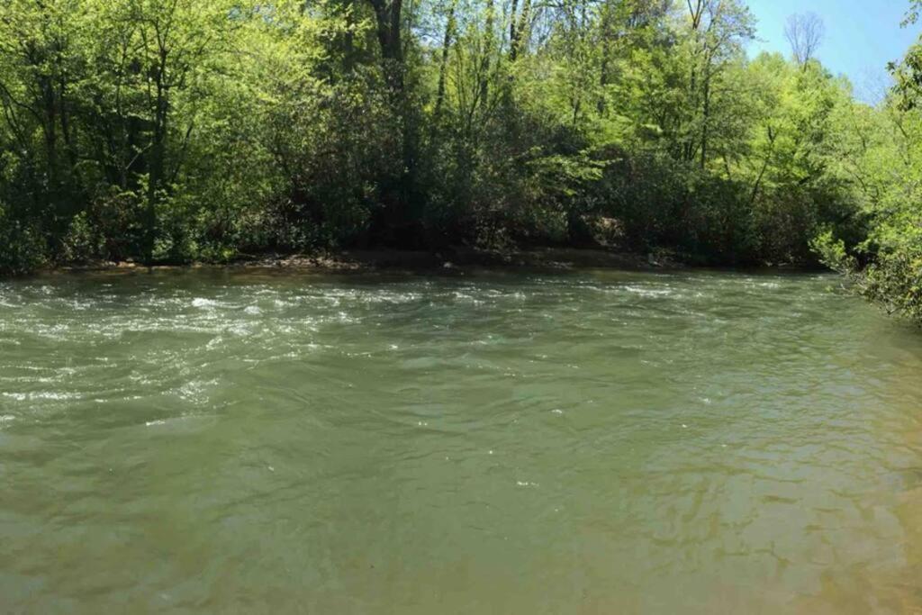 אלייז'ה Cabin Fever On Cartecay River מראה חיצוני תמונה