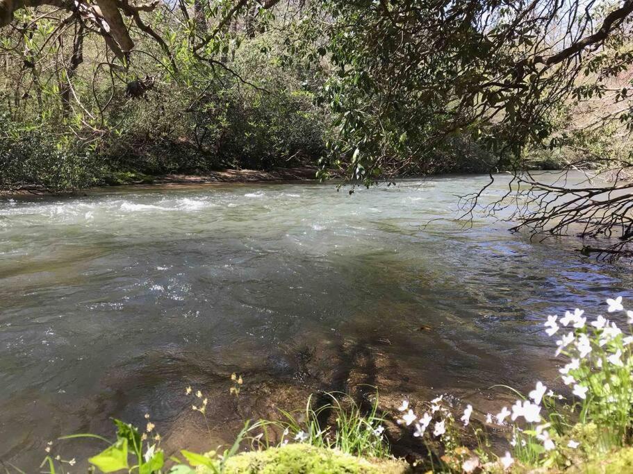 אלייז'ה Cabin Fever On Cartecay River מראה חיצוני תמונה
