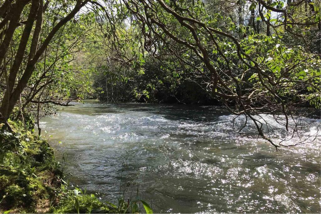 אלייז'ה Cabin Fever On Cartecay River מראה חיצוני תמונה